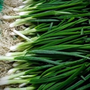 Spring onions