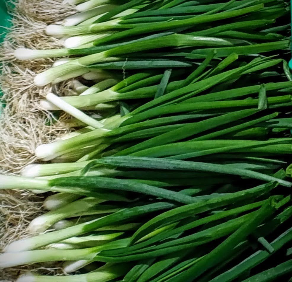 Spring onions