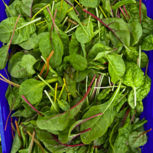 Chard