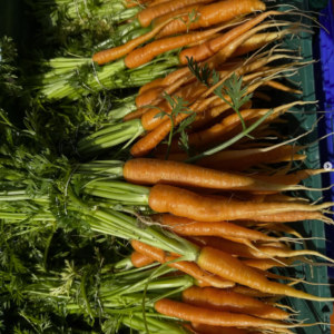 Carrots