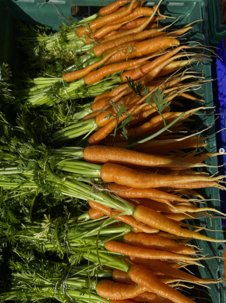 Carrots