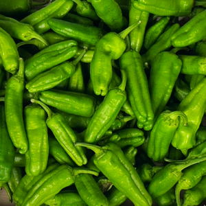 Padron peppers