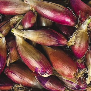 Onions