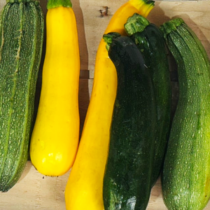 Courgettes