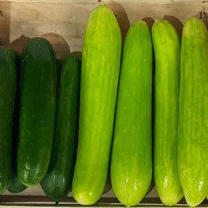 Cucumbers
