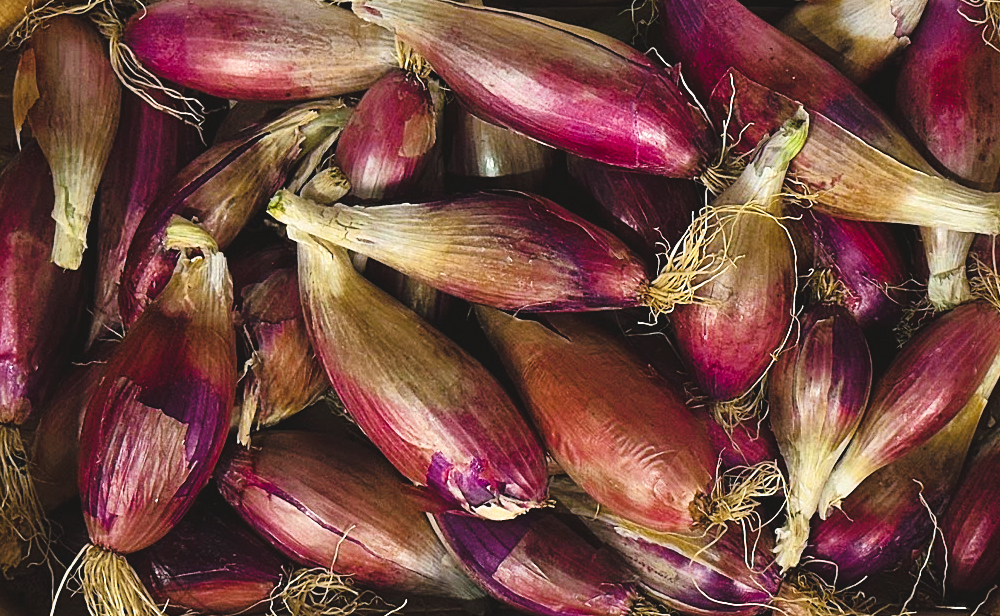 Onions