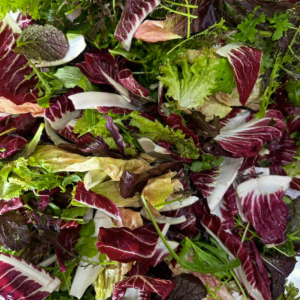 Winter Salad